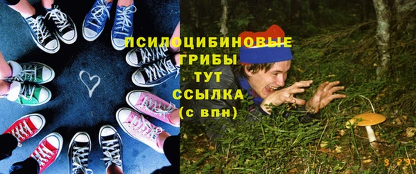 PSILOCYBIN Бронницы