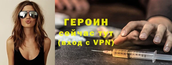 индика Бородино