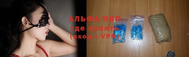 индика Бородино