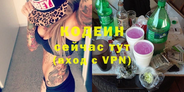 индика Бородино
