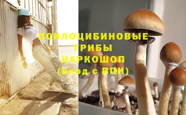 PSILOCYBIN Бронницы