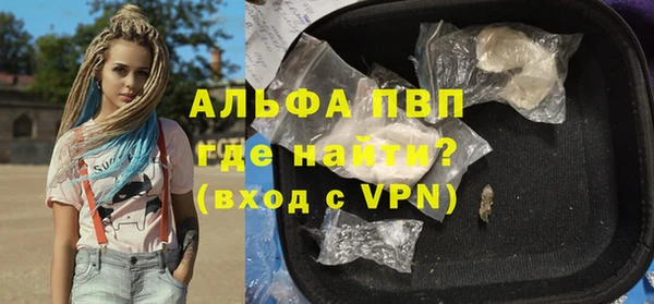индика Бородино
