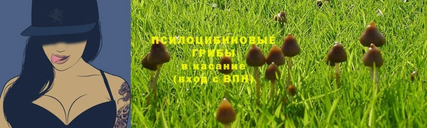кокаин премиум Богородицк