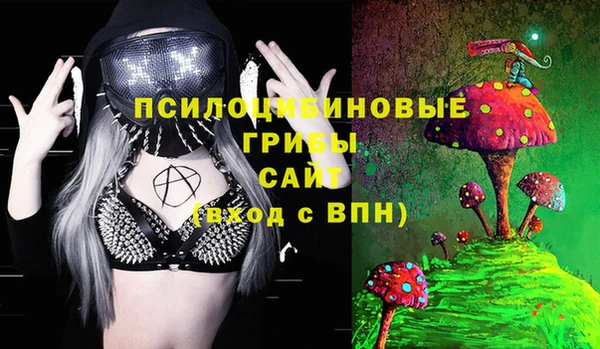 индика Бородино