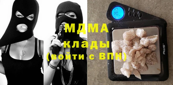 индика Бородино