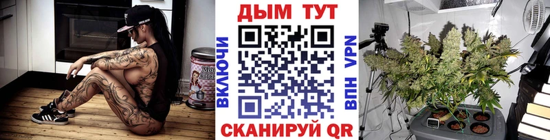 МАРИХУАНА сатива  Елизово 